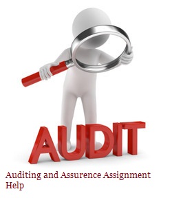 Auditing homework help