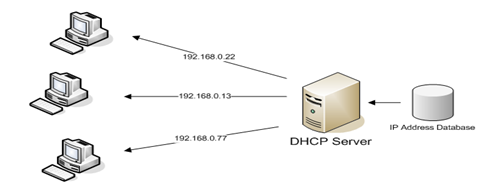 DHCP Server