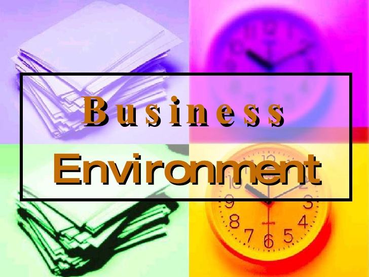 Business Environment