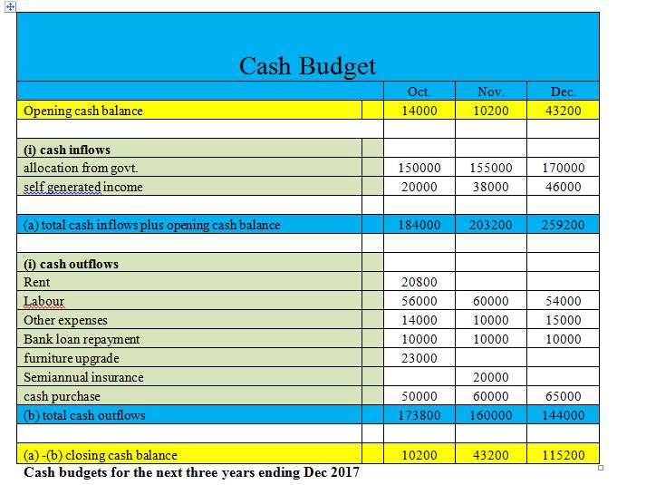 Cash Budget