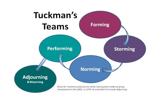 Tuckman's team