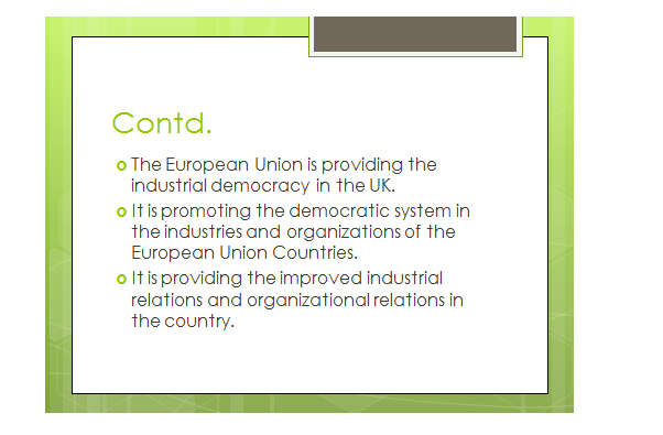 EU on industrial democracy slide 3, Uk assignment writing service