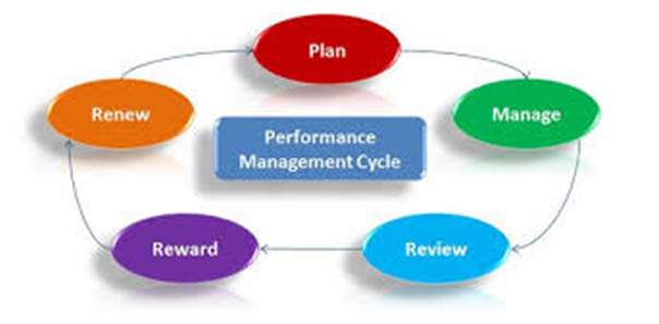 Performance management cycle