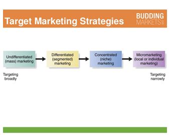 Marketing Strategy