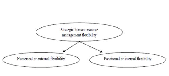 Types of flexibility