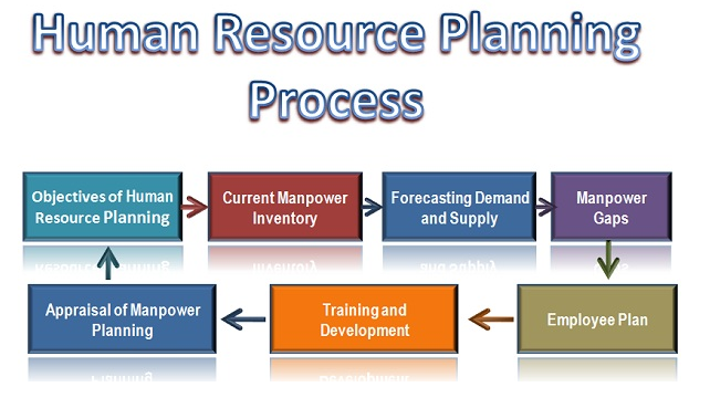 Human resource planning process