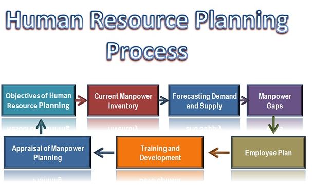 Human Resource Planning The Human Resources Department