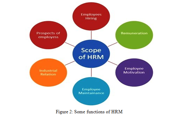 Some functions of HRM | assignment help