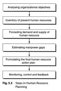 steps of hrm - Assignment Help in UK