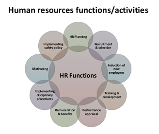 hrm functions and activities - Assignment Help in UK