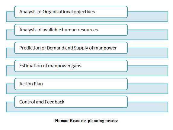 Human Resource planning process