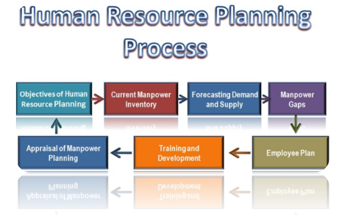 human resources planning process - Assignment Help in UK