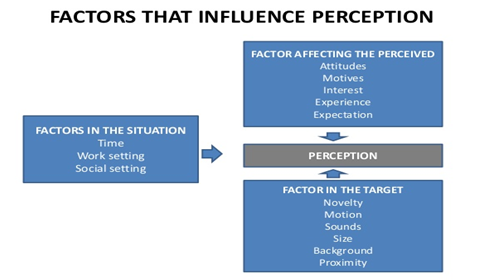 factors that influence percption - Assignment Help in UK