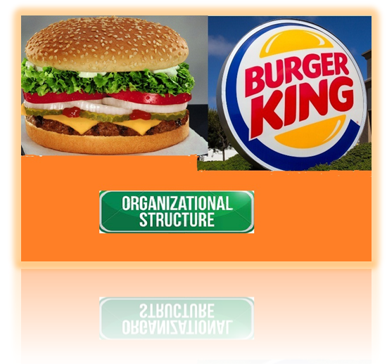 burger king - Assignment Help in UK