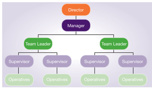 organizational structure compare and contrast