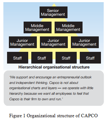 Organizational structure of CAPCO - Assignment Help UK