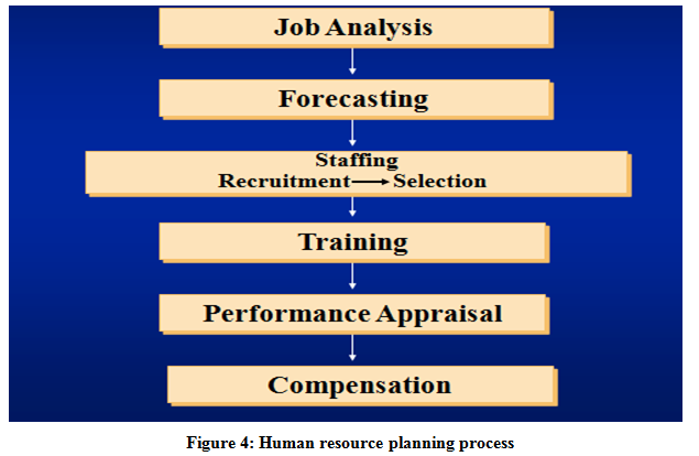 Human resource planning process - Assignment Help UK