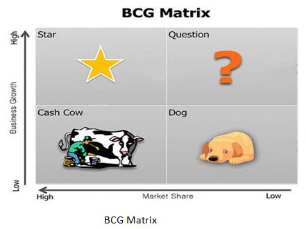 BCG Matrix | Assignment Writing Service