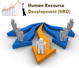 Human Resources Development - Assignment Help, Assignment Help UK, Assignment Help Coventry, Assignment Help London, 