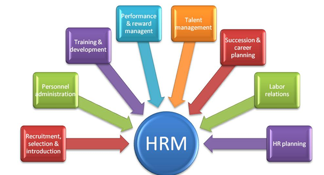 Hr Management For Hotel Assignment | Locus Assignment Help