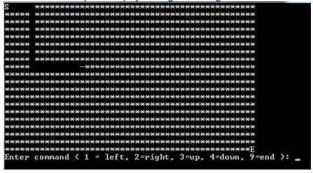 C Programming Principles