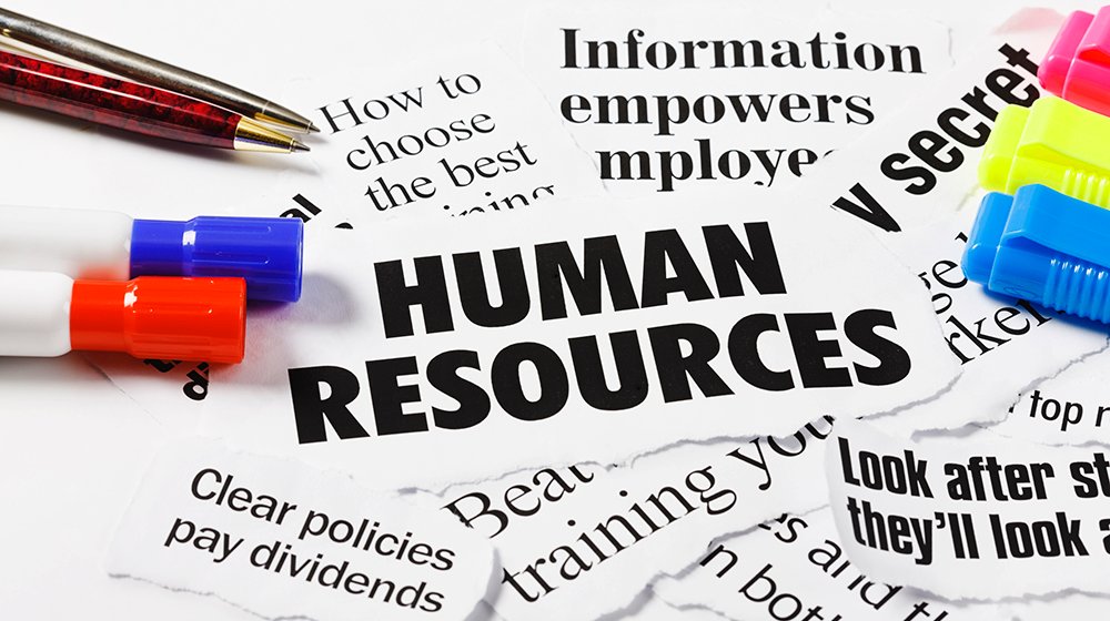 MGT307 Human Resource Management Assignment Help, assignment writing service, online assignment help, cheap assignment help, online assignment help
