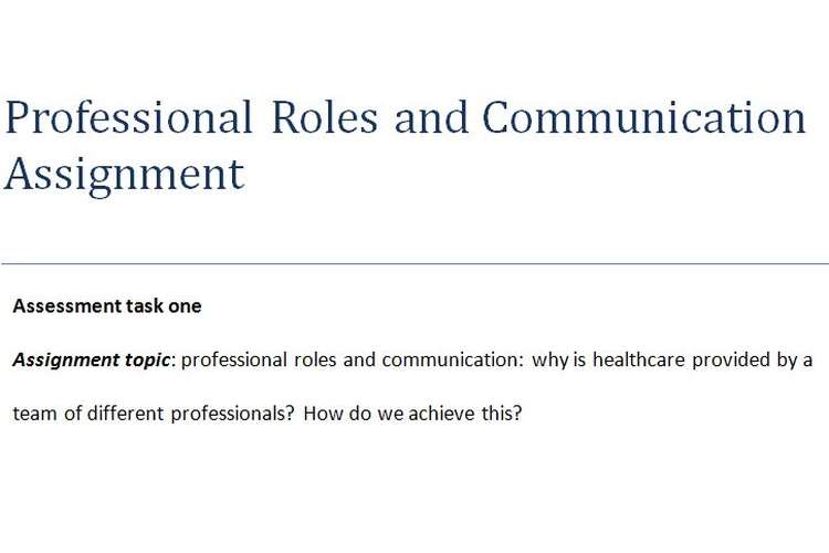 Professional Roles Communication Assignment