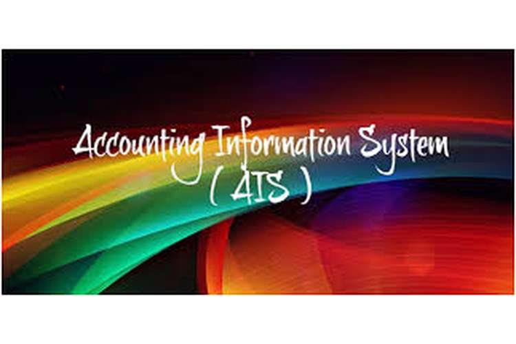 HA2042 Accounting Information System Proof Reading Services