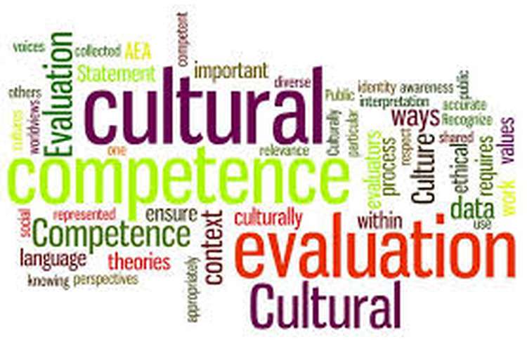 Cultural competence essay