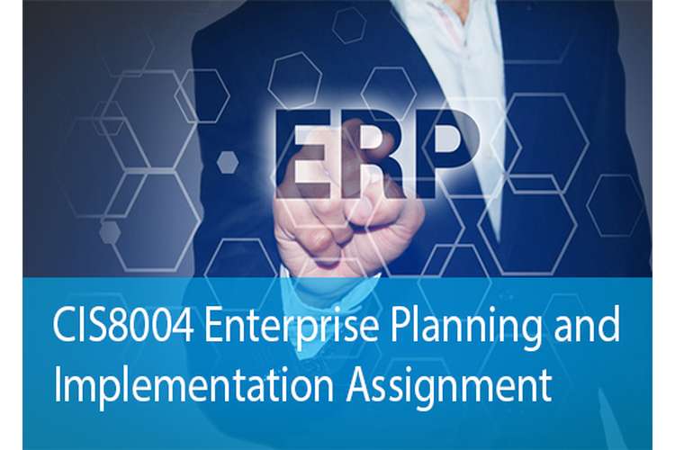 CIS8004 Enterprise Planning Implementation Assignment