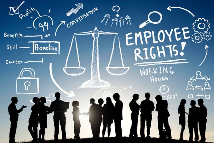 MGMT1601 Employment Law Assignment Help