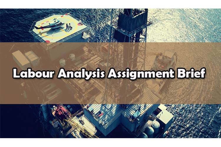 Labour Analysis Assignment Brief