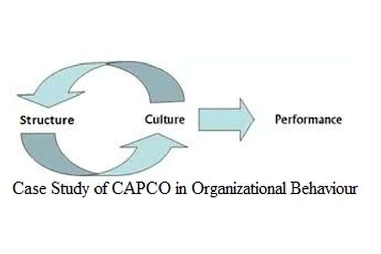 Unit 3 Case Study of CAPCO in Organizational Behaviour Assignment 