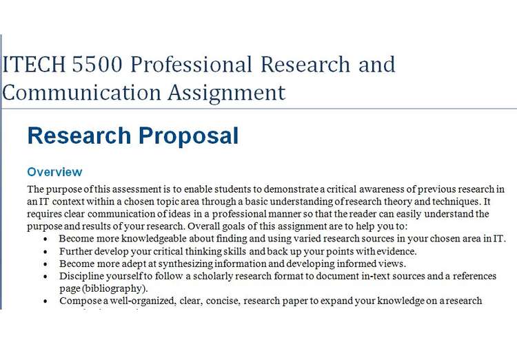 ITECH 5500 Professional Research Communication Assignment