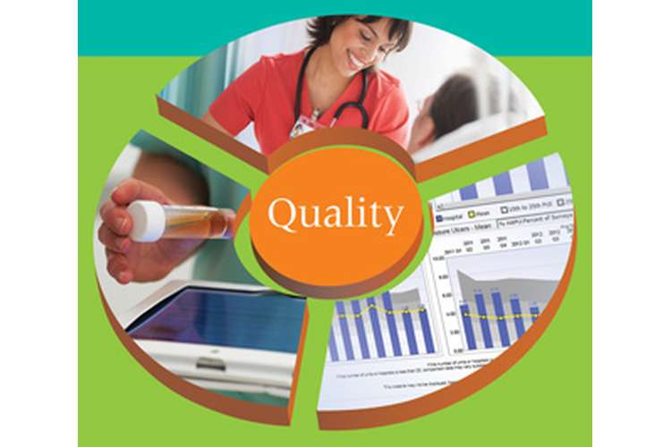 400777 Leadership for Quality & Safety Nursing Assignment