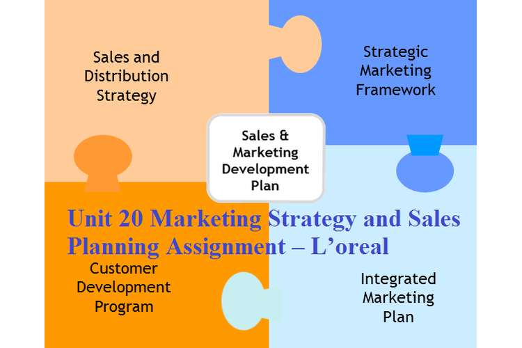 Unit20 Marketing Strategy and Sales Planning Assignment – L’oreal