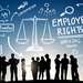 MGMT1601 Employment Law Assignment Help