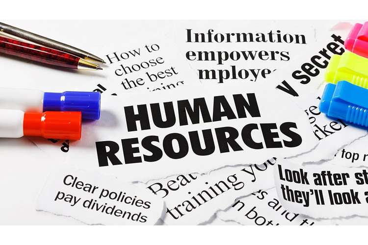 MGT307 Human Resource Management Assignment Help