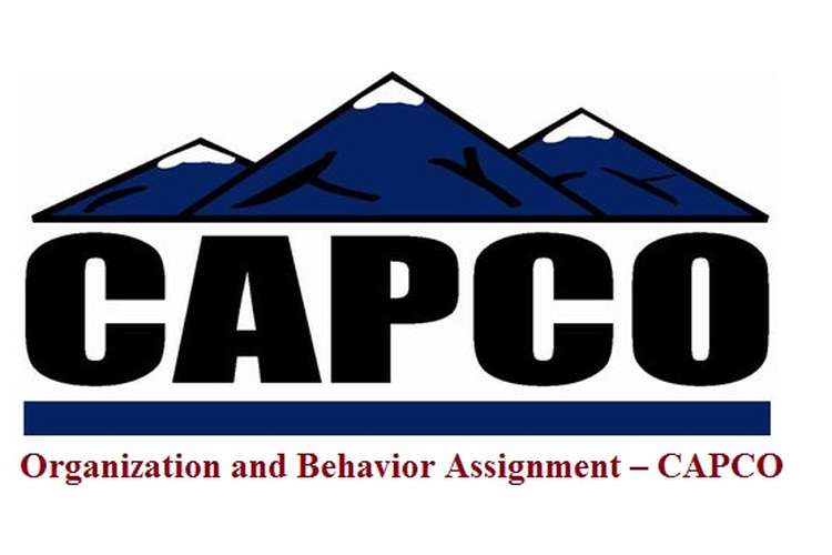 Organization and Behavior Assignment – CAPCO