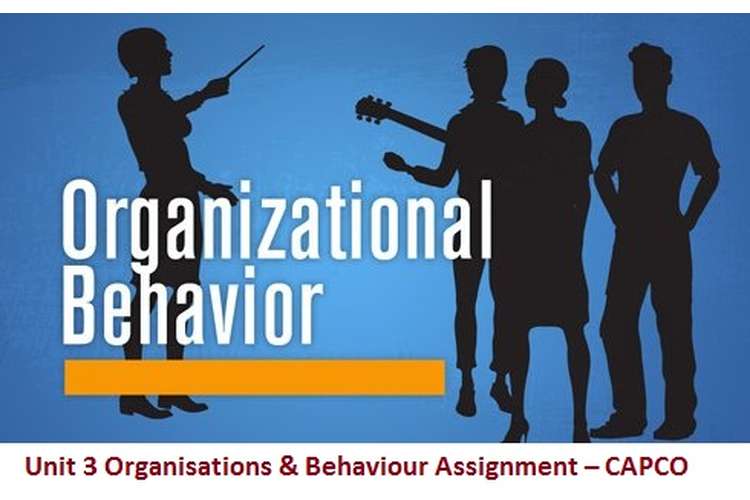 Unit 3 Organisations & Behaviour Assignment – CAPCO 