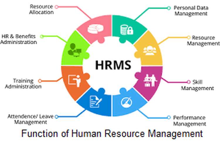 Human Resource Manager