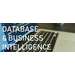 MAN6905 Databases And Business Intelligence Oz Assignments