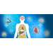 Human Physiology OZ Assignment Help