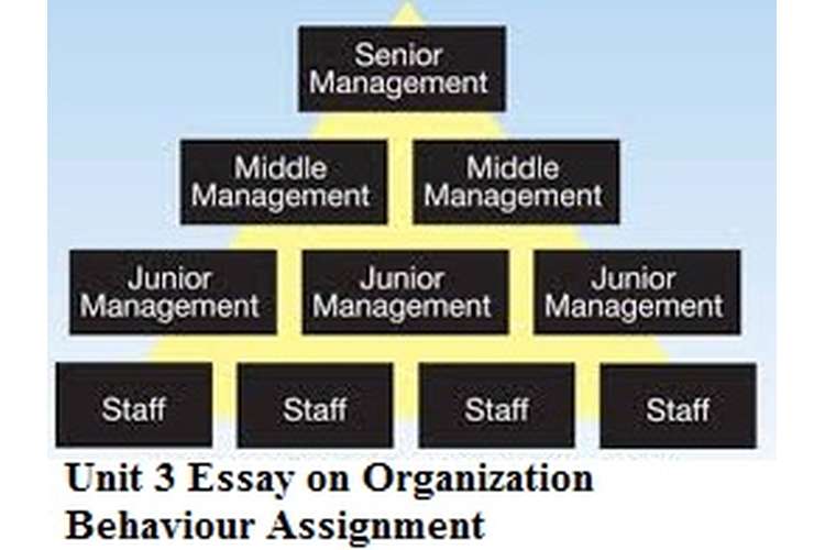 organization behaviour assignment 3