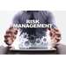 ITC596 IT Risk Management Assignment Help