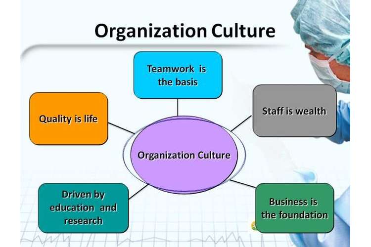 organizational culture assignment