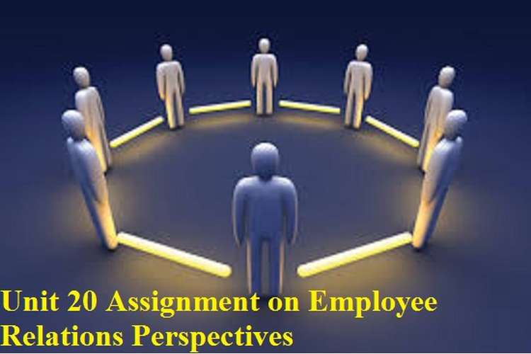 Unit 20 Assignment Employee Relations Perspectives 