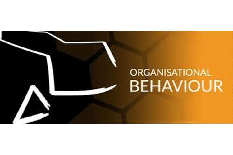 Unit 3 Organisational and Behavior Assignment 