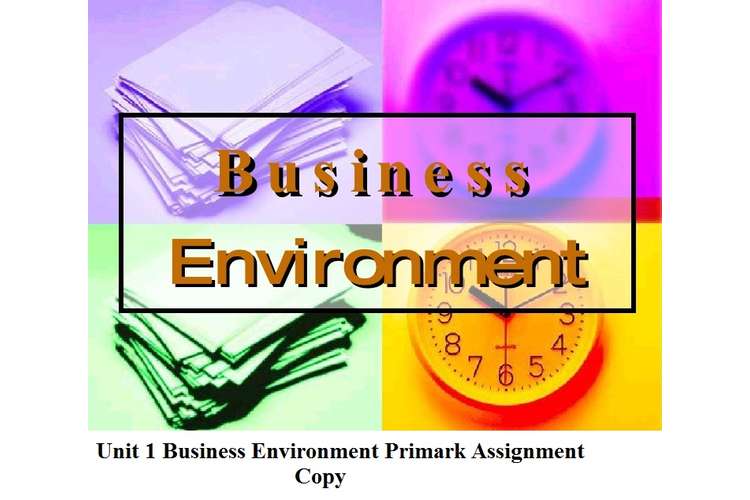  Unit 1 Business Environment Primark Assignment Copy 