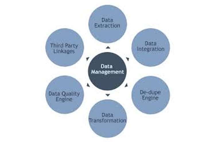 MN405 Data and Information Management Assignment